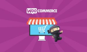WooCommerce-2