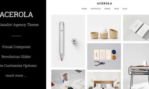 Acerola – Ultra Minimalist Agency Theme