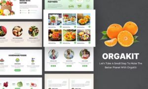 OrgaKit – Organic Farm Elementor Template Kit