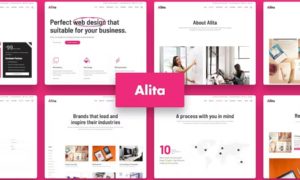 Alita – Web Studio WordPress Theme
