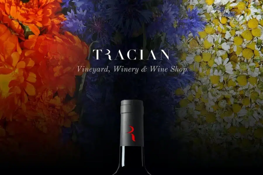 Tracian – Wine WordPress Theme